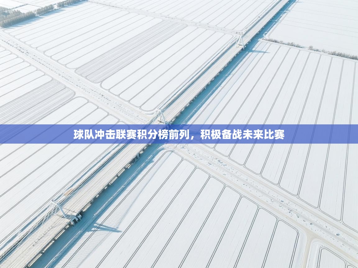 开云体育app官网入口-球队冲击联赛积分榜前列，积极备战未来比赛  第2张