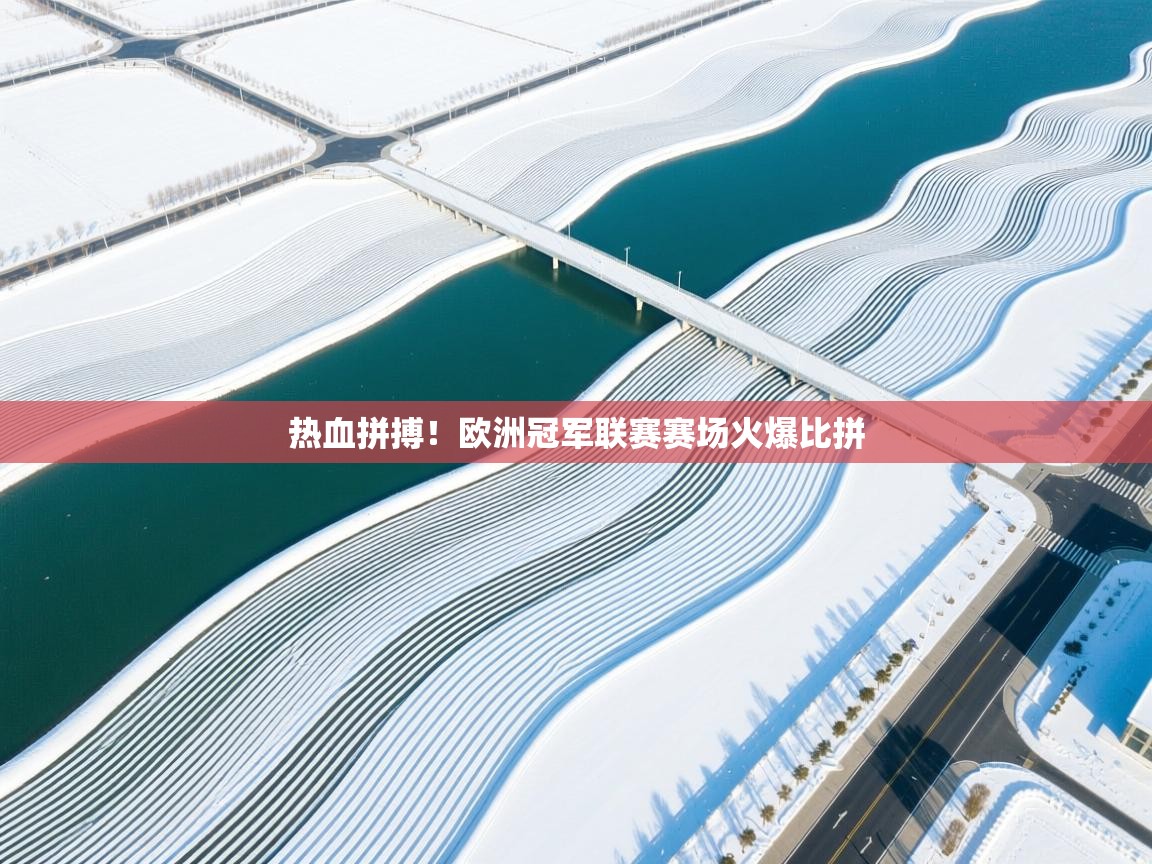 开云体育视频直播低延迟-热血拼搏！欧洲冠军联赛赛场火爆比拼  第2张