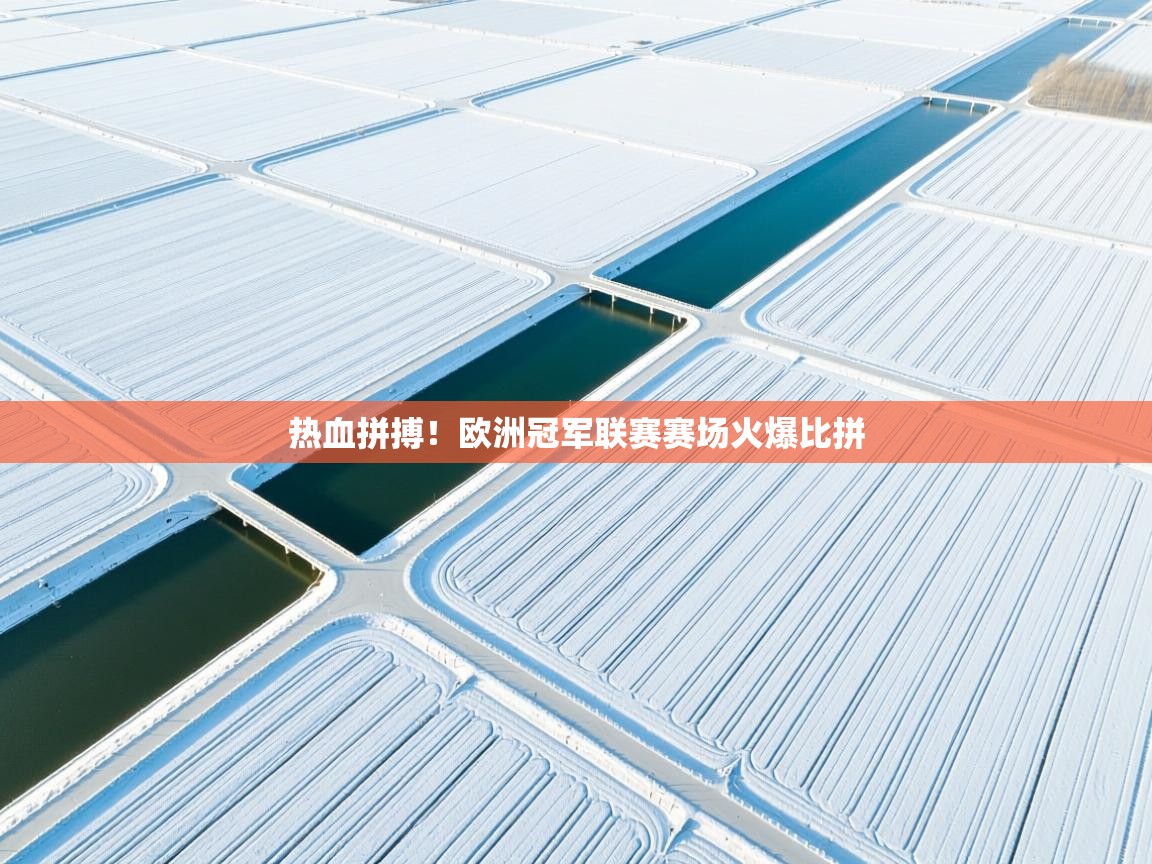 开云体育视频直播低延迟-热血拼搏！欧洲冠军联赛赛场火爆比拼  第3张