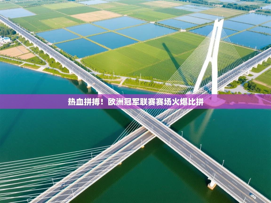 开云体育视频直播低延迟-热血拼搏！欧洲冠军联赛赛场火爆比拼  第4张