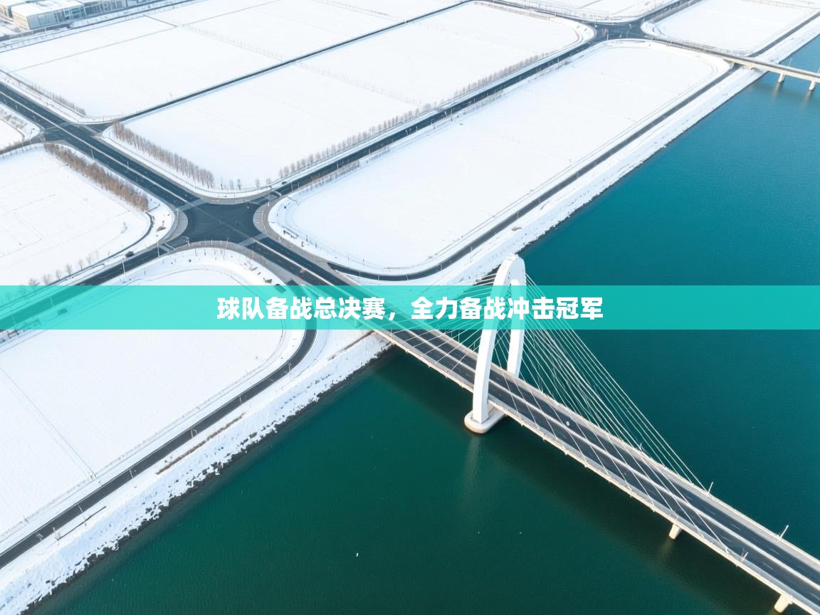 开云体育数据中心统计-球队备战总决赛，全力备战冲击冠军  第2张