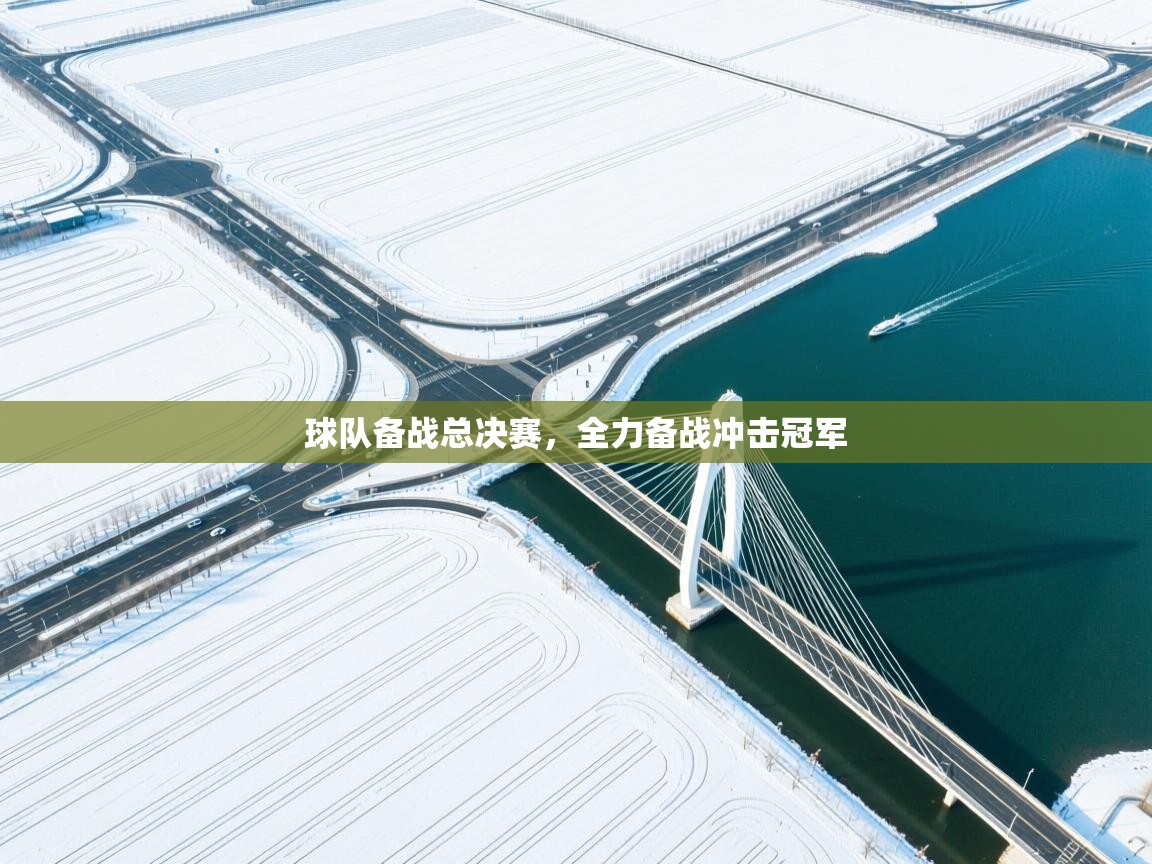 开云体育数据中心统计-球队备战总决赛，全力备战冲击冠军  第3张