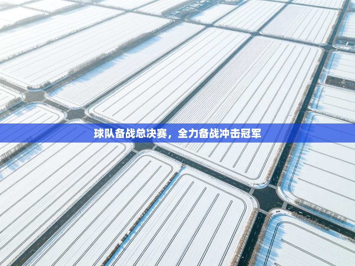 开云体育数据中心统计-球队备战总决赛，全力备战冲击冠军  第4张