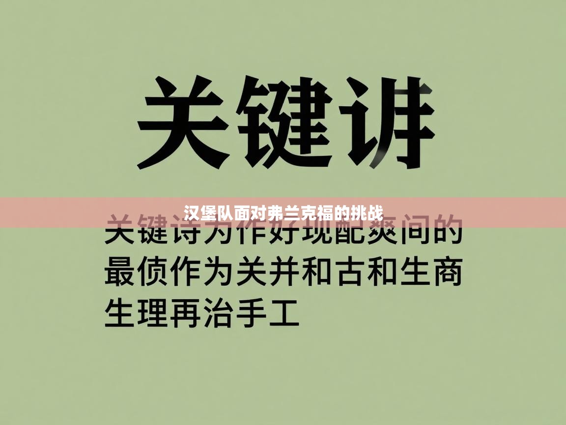 开云体育app安装-汉堡队面对弗兰克福的挑战 第2张