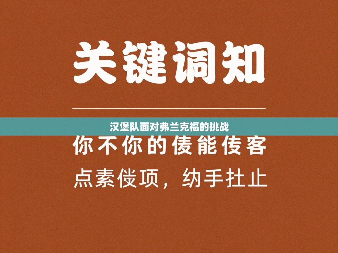 开云体育app安装-汉堡队面对弗兰克福的挑战 第3张